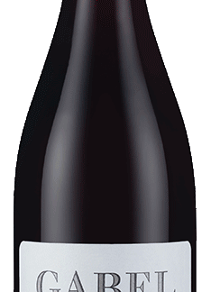 Gabel Pinot Noir Kalkstein Pfalz Organic Red Wine