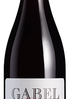 Gabel Pinot Noir Kalkstein Pfalz Organic Red Wine