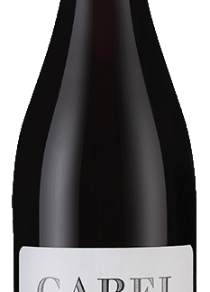 Gabel Pinot Noir Kalkstein Pfalz Organic Red Wine