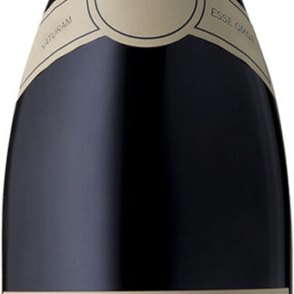 Southern Right - Pinotage 2019 75cl Bottle