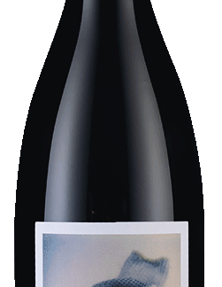 Stellenrust Series Rare Villain Vines Carignan Red Wine